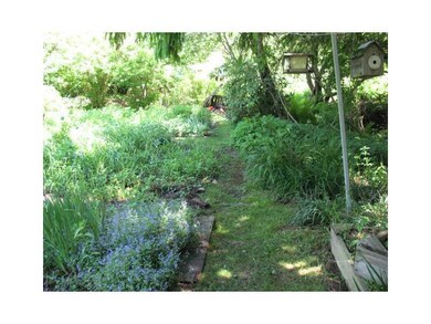 Yard/Garden.