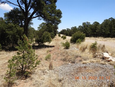 1C Tierra de Dios, Rowe, NM 87567 - photo 4