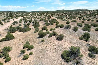 0 Fort Defina unit 25558757, Abiquiu, NM 87510 - photo 5