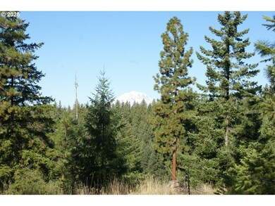 8 Ginger Way, Goldendale, WA 98620 - photo 5