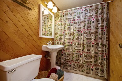 313 Meadow Ln, Lake In the Hills, IL 60156 - photo 6