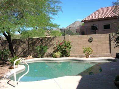 Lagoon Style Pool