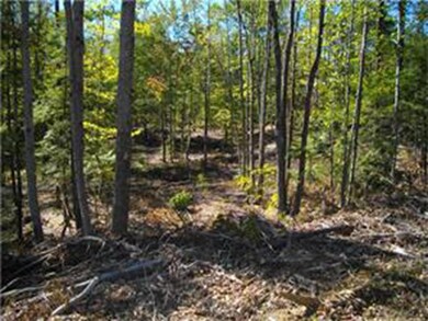 0 Spear Rd, Standish, ME 04084 - photo 3