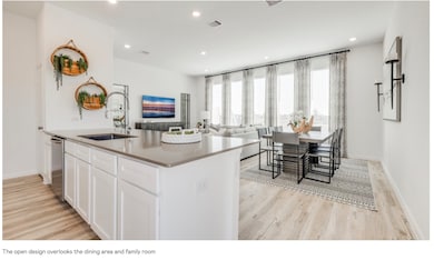 2210 Via Isa Ln, Houston, TX 77051 - photo 4