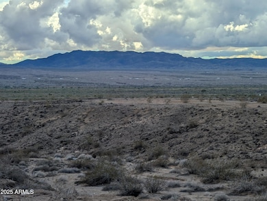 13313 Alturas Rd unit 8, Golden Shores, AZ 86436 - photo 4