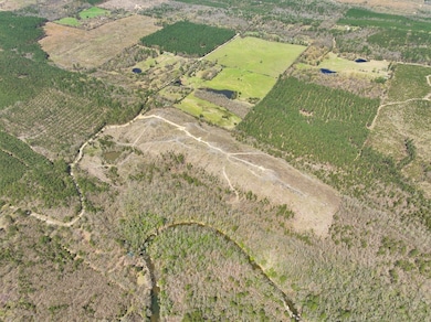 Brushy Ridge Rd, Smithville, OK 74957 - photo 5