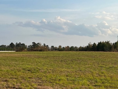 0 Pilcher Rd unit 11609601, Many, LA 71449 - photo 6