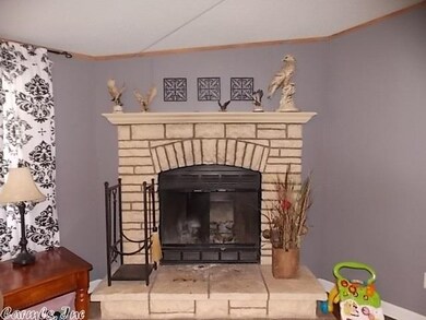 252 Pickles Gap Rd, Conway, AR 72032 - photo 5