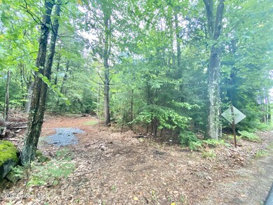 Lot 1 Gailey Hill Rd, Lake Luzerne, NY 12846 - photo 3