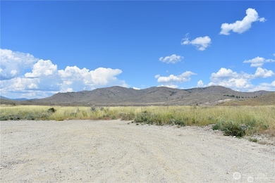 4 Brook Trout Ln, Methow, WA 98834 - photo 2