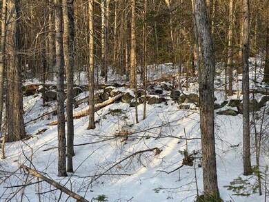 IMG_8162