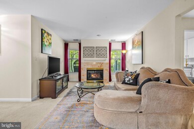 4550 Chaucer Way unit 403, Owings Mills, MD 21117 - photo 6