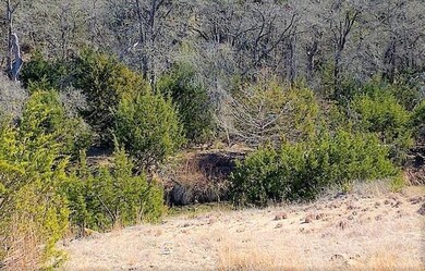 0 Pfiester Rd unit 79187, Fredericksburg, TX 78624 - photo 2