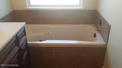 Master Bath Tub