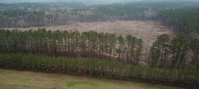 0 Highway 118 unit 25-406, Jasper, AL 35501 - photo 4