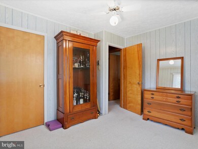 1981 Salem Church Rd, Stephens City, VA 22655 - photo 5