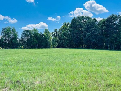 143 Dockery Rd, Russell Springs, KY 42642 - photo 6