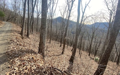 Additional View