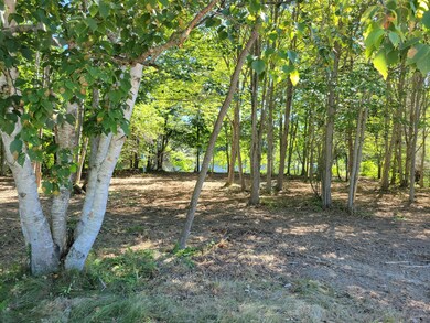 00 Mill Ln, Belfast, ME 04915 - photo 3