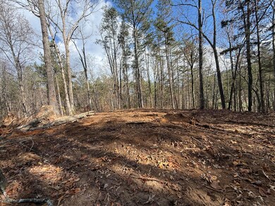 Lot 4 Parksville Rd, Benton, TN 37307 - photo 7