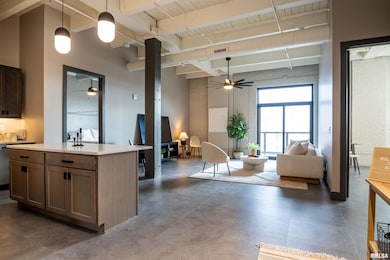 1001 SW Adams St unit 207, Peoria, IL 61602 - photo 7