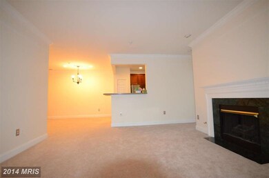 11314 Westbrook Mill Ln, Fairfax, VA 22030 - photo 4