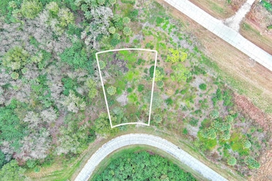 171 Carousel Ave, Fort Denaud, FL 33935 - photo 2