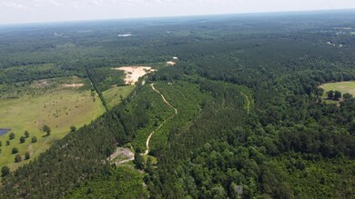 DJI_0942