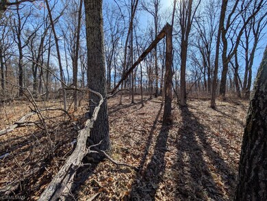 TBD Navaho Trail, Breezy Point, MN 56472 - photo 5