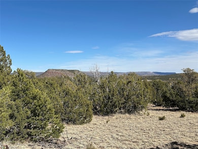 4.872 Acres Fronxtage Rd 2116, Serafina, NM 87569 - photo 7