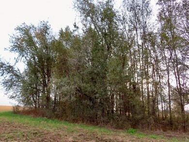 00000 S 311th St W, Garden Plain, KS 67050 - photo 6