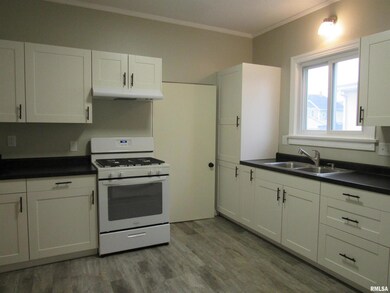 2125 16th St unit Lower, Moline, IL 61265 - photo 2