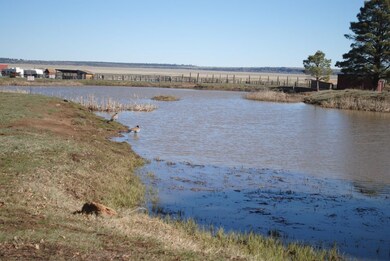 Mormon Lake Pond