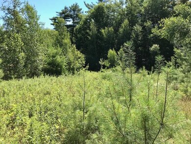 0 Hampshire St, Hiram, ME 04041 - photo 5