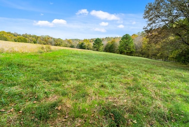 0 Buck Smith Rd unit RTC3046866, Palmyra, TN 37142 - photo 6