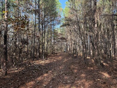 3141 Rdebuck Rd, Preston, MS 39354 - photo 4