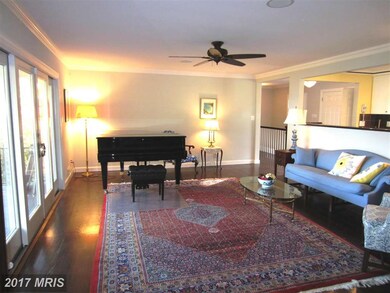 7301 Park Terrace Dr, Alexandria, VA 22307 - photo 6