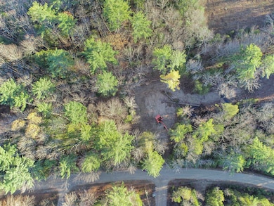 28 Beech River Cir, Center Ossipee, NH 03814 - photo 4