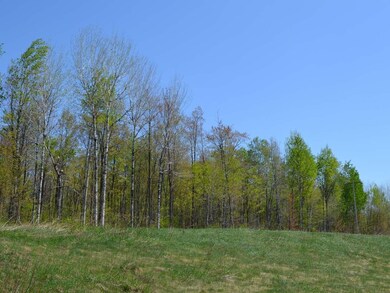 AT Hwy 86, Tomahawk, WI 54487 - photo 7