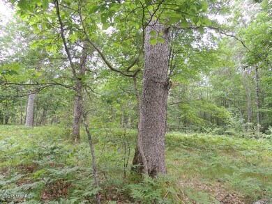 no # 14 Mile Rd, Bitely, MI 49309 - photo 3