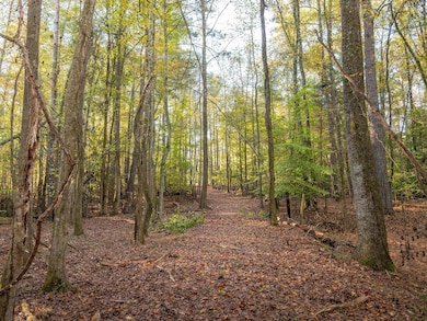 Dice Miller Rd, Moore, SC 29369 - photo 7