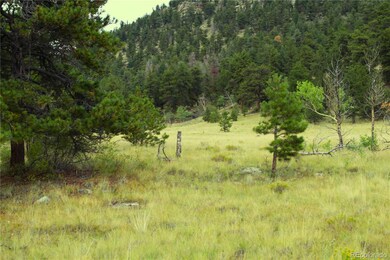 0 W Highway 24 Hwy unit REC9875623, Lake George, CO 80827 - photo 6