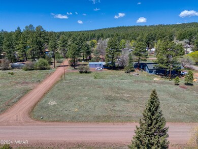 Summer Pines .22 Acre Lot