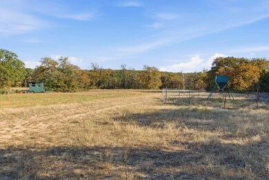 11051 Brock Hwy, Lipan, TX 76462 - photo 5