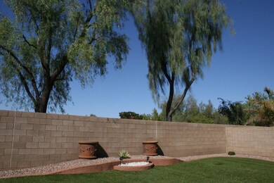 Backyard view