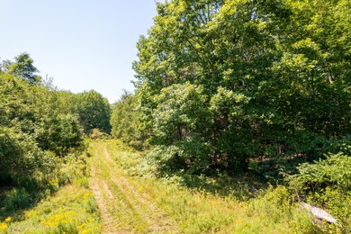 Franklin-Cove Road--DJI_0050-August 04,