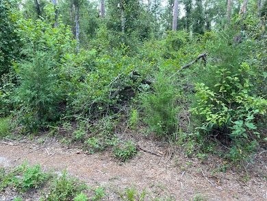 17582 14th St, Live Oak, FL 32060 - photo 4