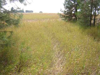 0 W Akers Ln, Colbert, WA 99005 - photo 4