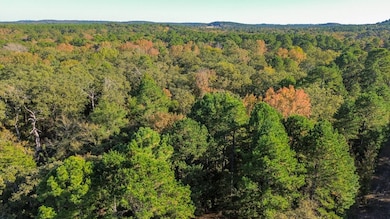 000 Cr 4330, Larue, TX 75770 - photo 2