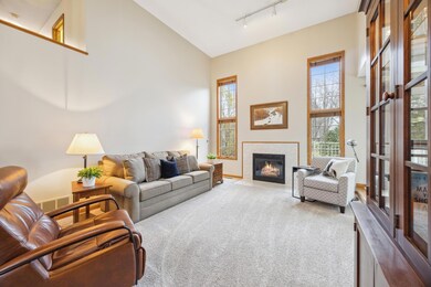 7132 Whippoorwill Ln, Circle Pines, MN 55014 - photo 6